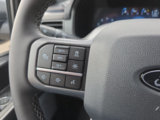 Ford F-150 5,0L V8 Black Edition Lariat MJ 2025 - foto 14