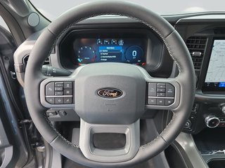Ford F-150 5,0L V8 Black Edition Lariat MJ 2025 - foto 2
