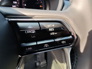Mazda CX-60 e-SKYACTIV-D 254 M HYBRID AWD HOMURA - bilder 11