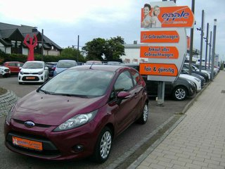 Ford Fiesta Gebrauchtwagen Kaufen