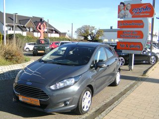 Ford Fiesta Gebrauchtwagen Kaufen