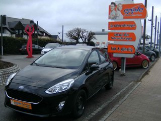 Ford Fiesta Gebrauchtwagen Kaufen