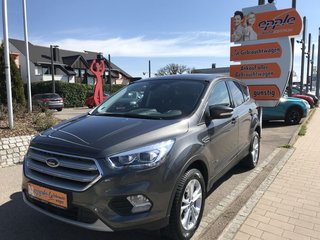 Ford Kuga Gebrauchtwagen Kaufen