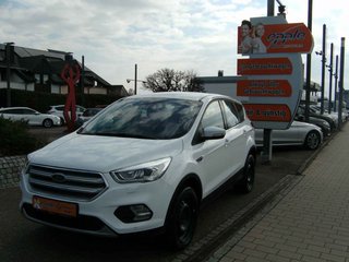 Ford Kuga Gebrauchtwagen Kaufen