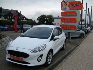 Ford Fiesta Gebrauchtwagen Kaufen