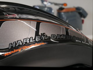 Harley-Davidson Special Custom Extreme Thunderbike Komplettumbau | Einzelstück | Airride | Sonderanfertigung - foto 31