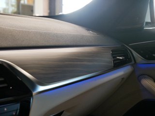 BMW 530 d M Luxury Line Massage Kamera Pano HK Standhzg. - bilder 40