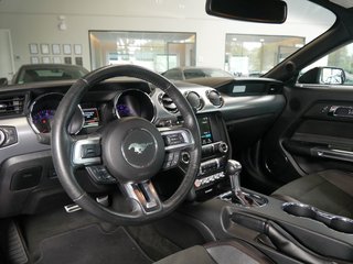 Ford Mustang GT 5.0 V8 California Special US Temp Kamera LED - photo 11