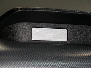Ford Mustang GT 5.0 V8 California Special US Temp Kamera LED - photo 14