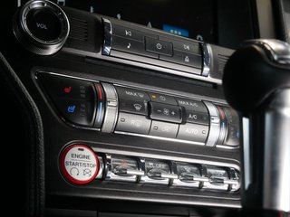 Ford Mustang GT 5.0 V8 California Special US Temp Kamera LED - photo 16