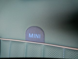 MINI Cooper E Countryman  BEV E Favoured Trim HUD LED DAB+ DCC Leder - bilder 25