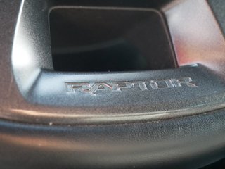 Ford Ranger Raptor Bi-Xenon Panther 4x4 Doka 1. Hand - foto 17