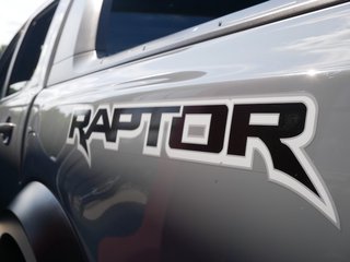 Ford Ranger Raptor Bi-Xenon Panther 4x4 Doka 1. Hand - foto 29