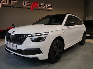 Skoda Kamiq Gebrauchtwagen Kaufen