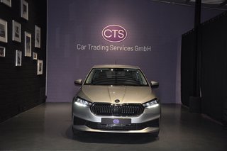 Skoda Fabia Gebrauchtwagen Kaufen
