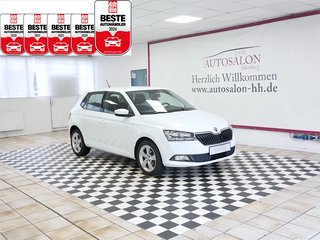 Skoda Fabia Gebrauchtwagen Kaufen