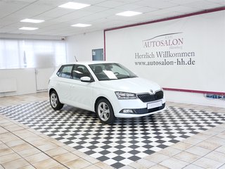 Skoda Fabia Gebrauchtwagen Kaufen