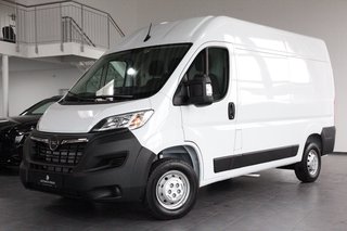 Opel Movano age.one-day registration Kaufen