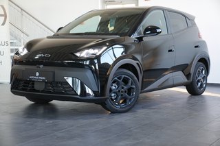 BYD Dolphin Gebrauchtwagen Kaufen