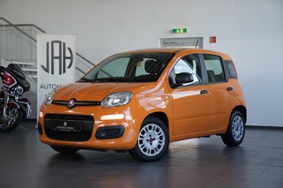 Fiat Panda Gebrauchtwagen Kaufen