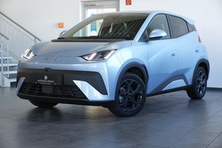 BYD Dolphin Gebrauchtwagen Kaufen
