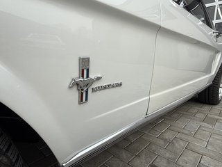 Ford Mustang Hardtop Coupe - bilder 10