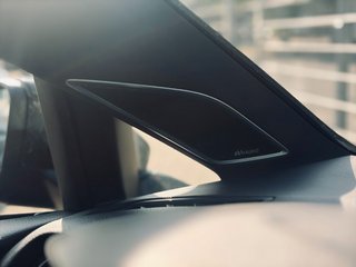 Volkswagen Golf VII Variant R 4Motion+Virtual+Pano+Leder+TW - bilder 20