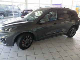 Ford Kuga Jahreswagen Kaufen