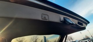 Ford Grand C-Max 7-Sitzer A/T Titanium W-Räder AHZV - bilder 4