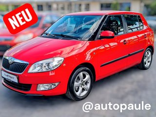 Skoda Fabia Gebrauchtwagen Kaufen