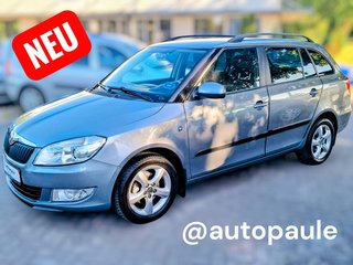 Skoda Fabia Gebrauchtwagen Kaufen