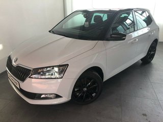 Skoda Fabia Gebrauchtwagen Kaufen