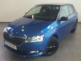 Skoda Fabia Gebrauchtwagen Kaufen