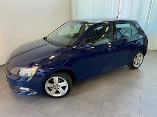 Skoda Fabia Gebrauchtwagen Kaufen