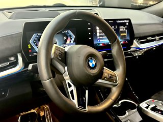 BMW X2 20 d xDrive M SPORT PANO ICONIC 360K HUD H&K AHK - bilder 10
