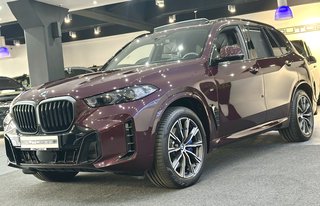 BMW X5 30 d xDrive M SPORT PRO SKY ICONIC AHK STHZ - foto 3