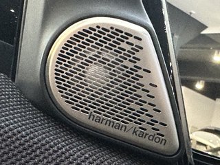 MINI Cooper Countryman C JCW XL PANO HUD 360K H&K 20Z - foto 43