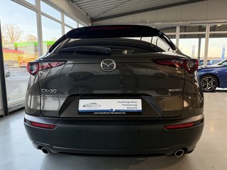 Mazda CX-30 Selection 2WD  LED Kamera Navi Winterp. Allwetter - photo 6