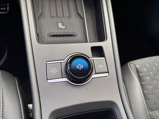 Volkswagen T-Roc R-Line Sport Black Style Autom., IQ Light AHK Kamera - foto 13