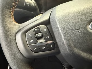 Ford Ranger Wildtrak Doka Autom. B&O ACC schwarzes eRollo! Techp. LED - bilder 10