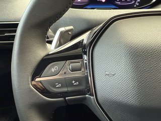 Peugeot 3008 Allure Pack  LED Navi Kamera ACC Winterp. - bilder 10
