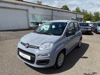 Fiat New Panda Gebrauchtwagen Kaufen