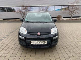 Fiat Panda Gebrauchtwagen Kaufen