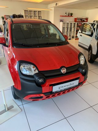 Fiat Panda Neuwagen Kaufen