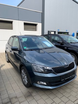 Skoda Fabia Gebrauchtwagen Kaufen