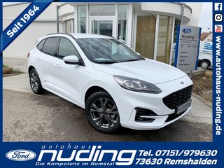 Ford Kuga Gebrauchtwagen Kaufen