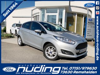 Ford Fiesta Gebrauchtwagen Kaufen