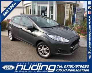 Ford Fiesta Gebrauchtwagen Kaufen