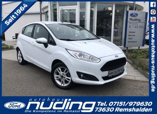 Ford Fiesta Gebrauchtwagen Kaufen
