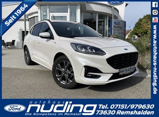 Ford Kuga Gebrauchtwagen Kaufen